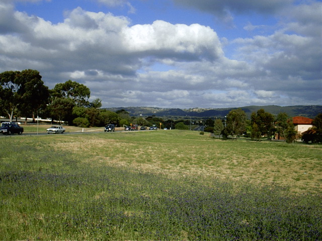 [photo of a field alongside Montague Road, Modbury, South Australia]